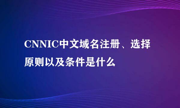 CNNIC中文域名注册、选择原则以及条件是什么