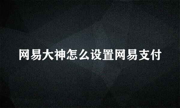 网易大神怎么设置网易支付