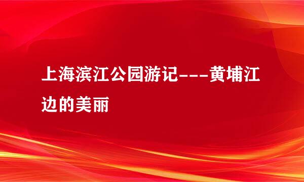 上海滨江公园游记---黄埔江边的美丽
