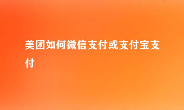 美团如何微信支付或支付宝支付