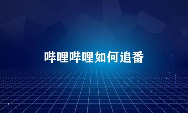 哔哩哔哩如何追番