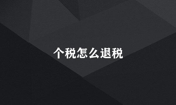 个税怎么退税