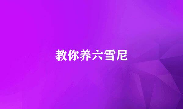 教你养六雪尼