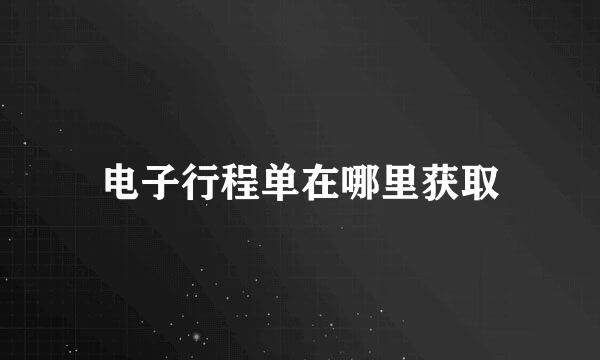 电子行程单在哪里获取