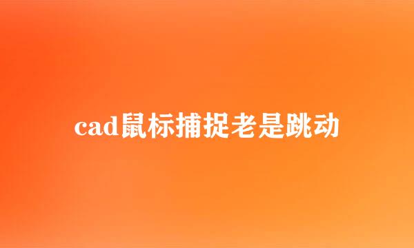 cad鼠标捕捉老是跳动