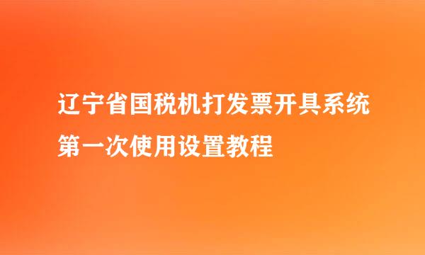 辽宁省国税机打发票开具系统第一次使用设置教程