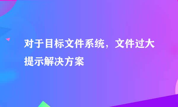 对于目标文件系统，文件过大提示解决方案