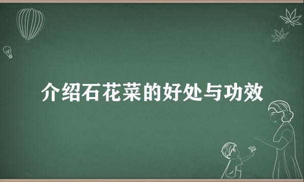 介绍石花菜的好处与功效