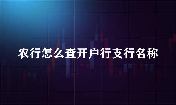 农行怎么查开户行支行名称