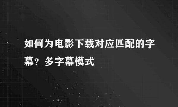 如何为电影下载对应匹配的字幕？多字幕模式