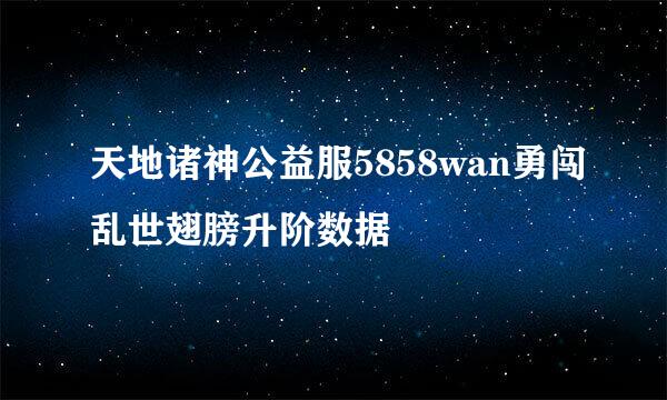 天地诸神公益服5858wan勇闯乱世翅膀升阶数据