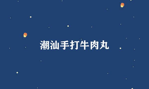 潮汕手打牛肉丸