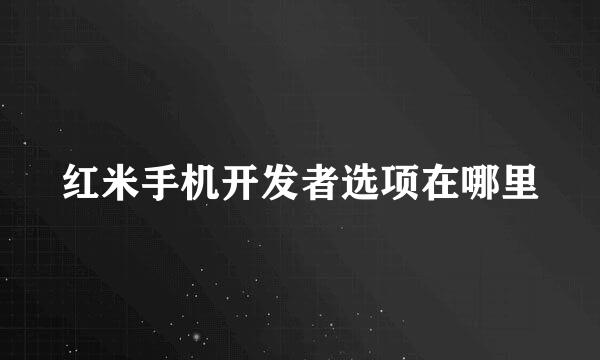 红米手机开发者选项在哪里