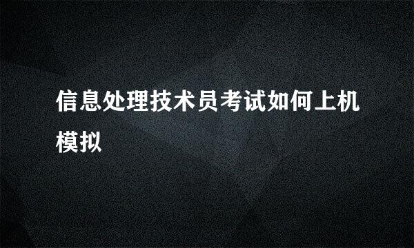信息处理技术员考试如何上机模拟