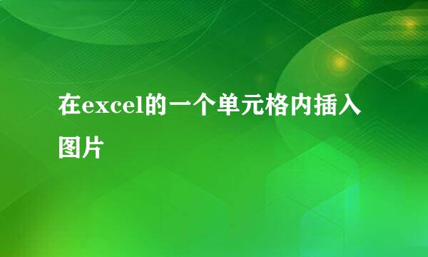 在excel的一个单元格内插入图片