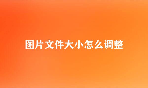 图片文件大小怎么调整