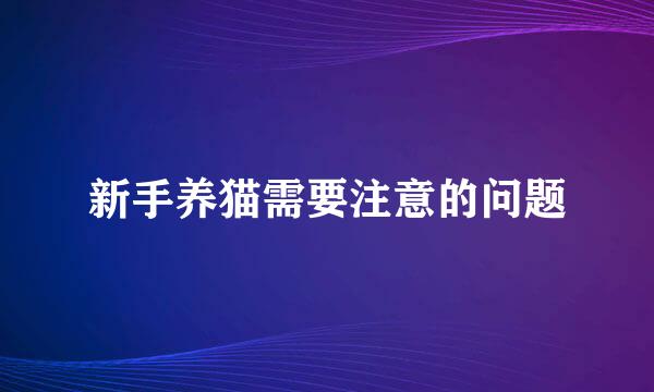 新手养猫需要注意的问题