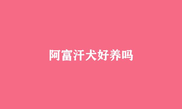 阿富汗犬好养吗