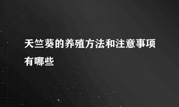 天竺葵的养殖方法和注意事项有哪些