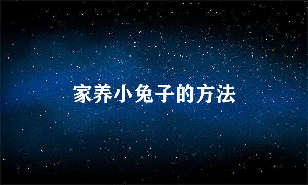 家养小兔子的方法