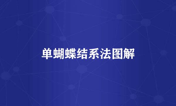 单蝴蝶结系法图解