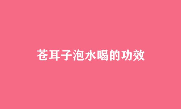 苍耳子泡水喝的功效