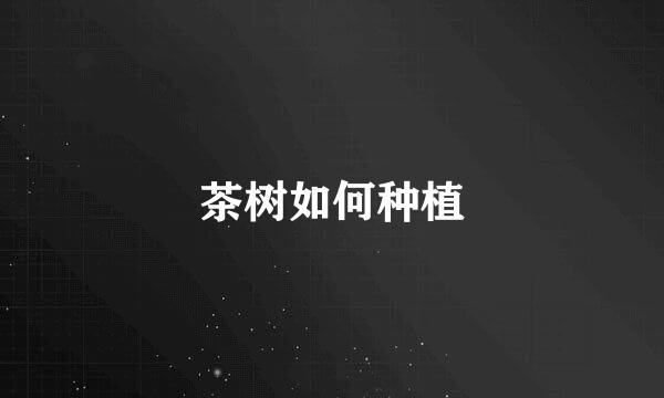 茶树如何种植