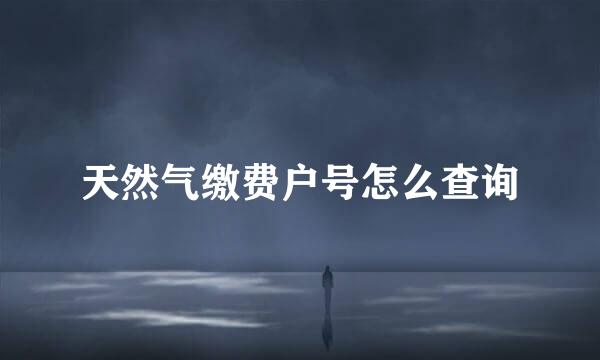 天然气缴费户号怎么查询