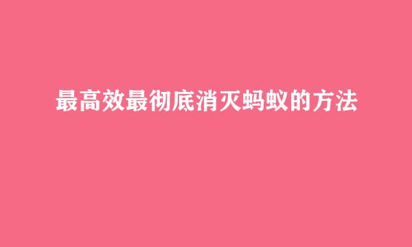 最高效最彻底消灭蚂蚁的方法