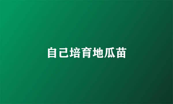 自己培育地瓜苗