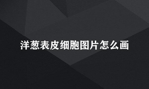洋葱表皮细胞图片怎么画
