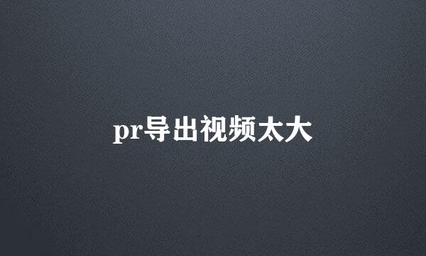 pr导出视频太大