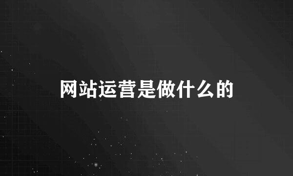 网站运营是做什么的