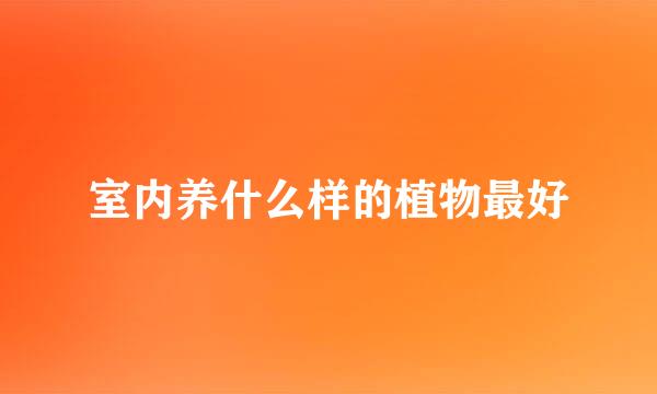 室内养什么样的植物最好