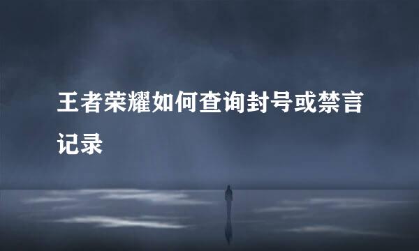 王者荣耀如何查询封号或禁言记录