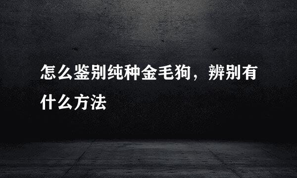 怎么鉴别纯种金毛狗，辨别有什么方法