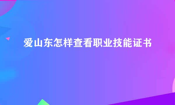 爱山东怎样查看职业技能证书