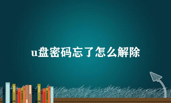 u盘密码忘了怎么解除