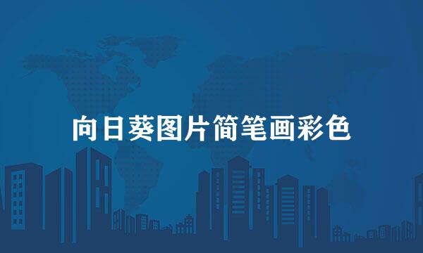 向日葵图片简笔画彩色