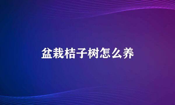 盆栽桔子树怎么养