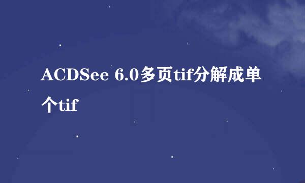 ACDSee 6.0多页tif分解成单个tif