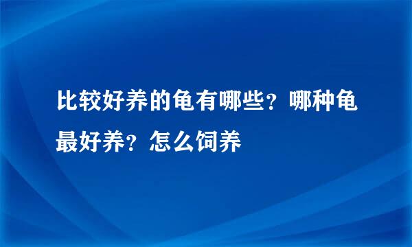 比较好养的龟有哪些？哪种龟最好养？怎么饲养