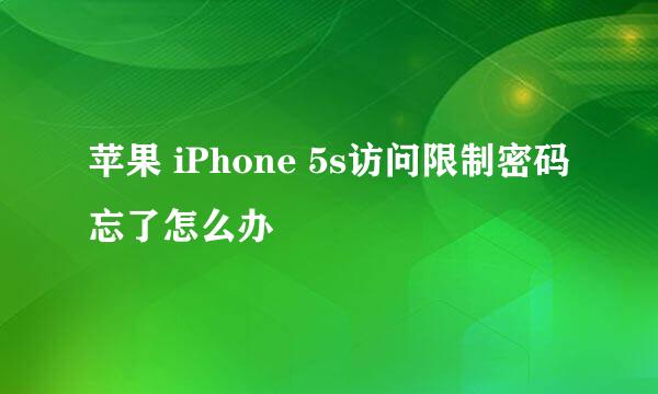 苹果 iPhone 5s访问限制密码忘了怎么办