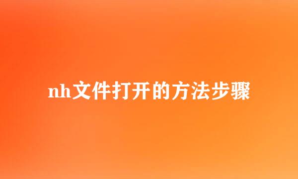nh文件打开的方法步骤