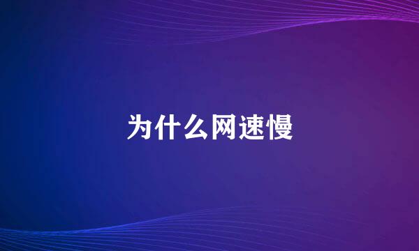 为什么网速慢