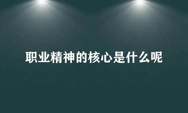 职业精神的核心是什么呢