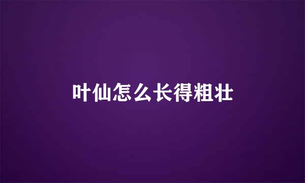 叶仙怎么长得粗壮