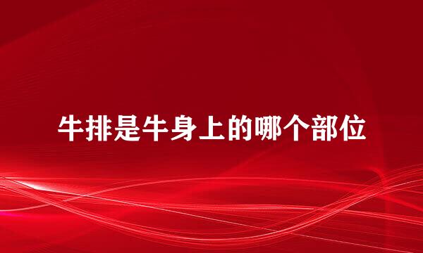 牛排是牛身上的哪个部位