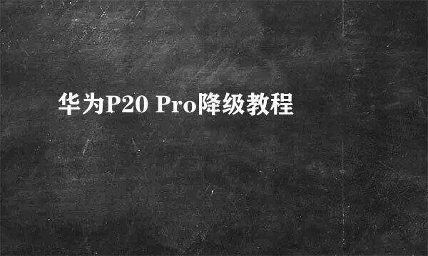华为P20 Pro降级教程