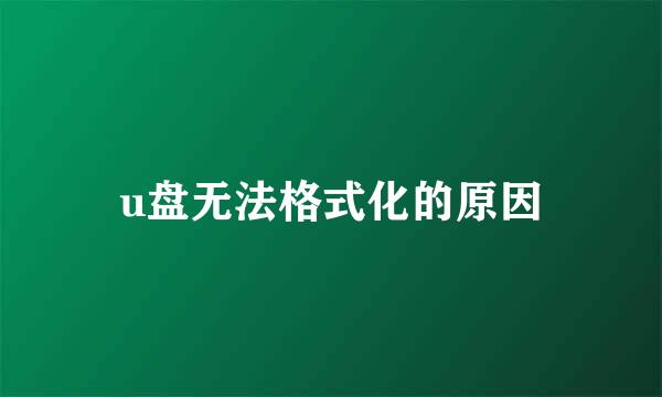 u盘无法格式化的原因
